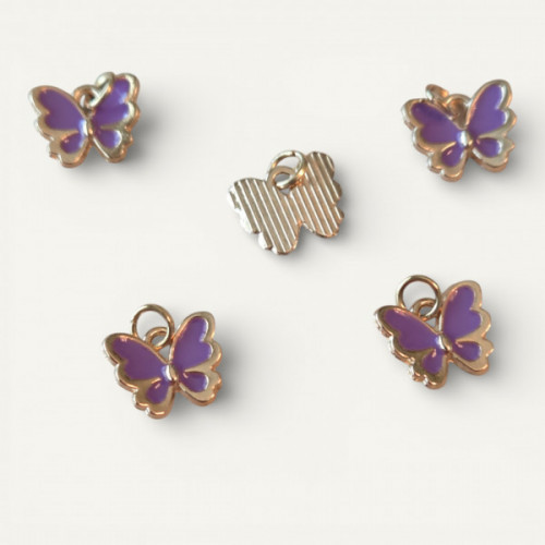 IMG_20260207_015143 (13).jpg